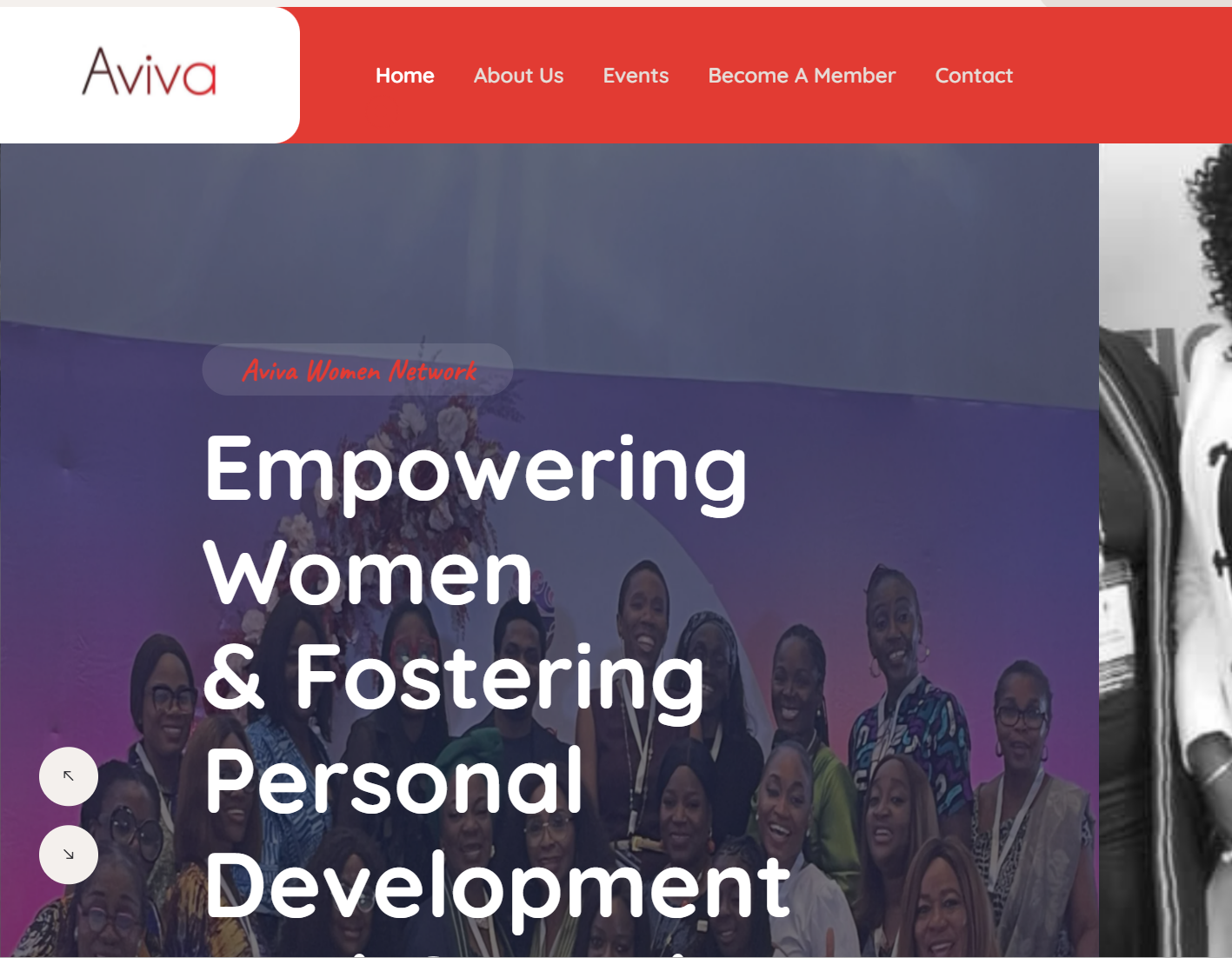 Avivalive website
